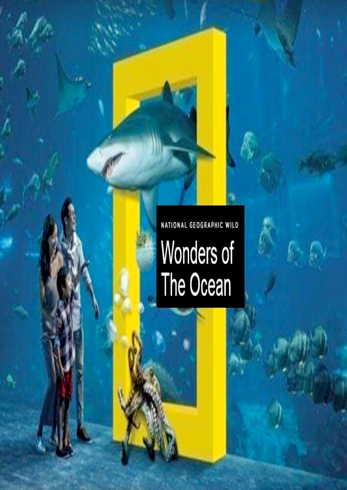 Wonders of the Ocean