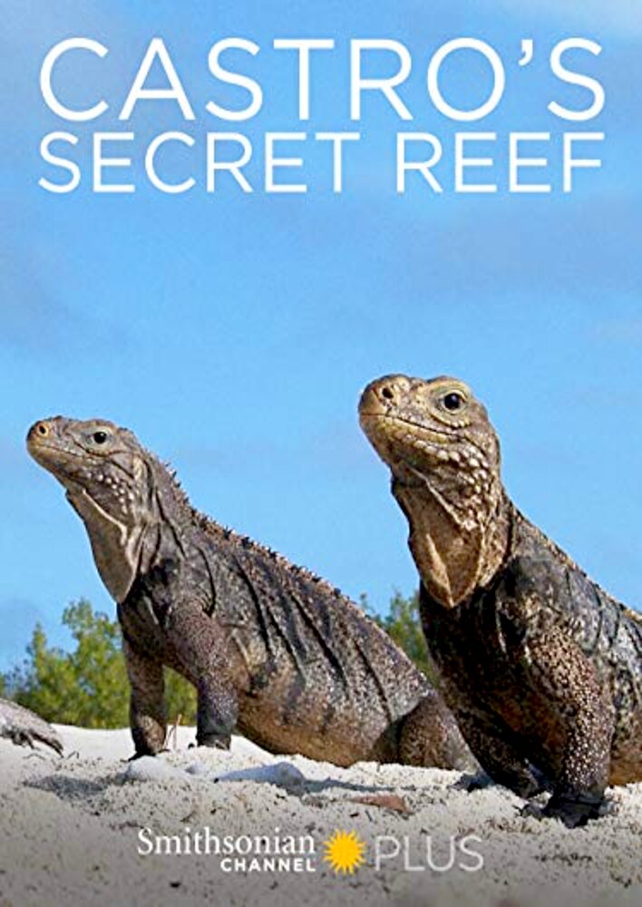 Castro's Secret Reef