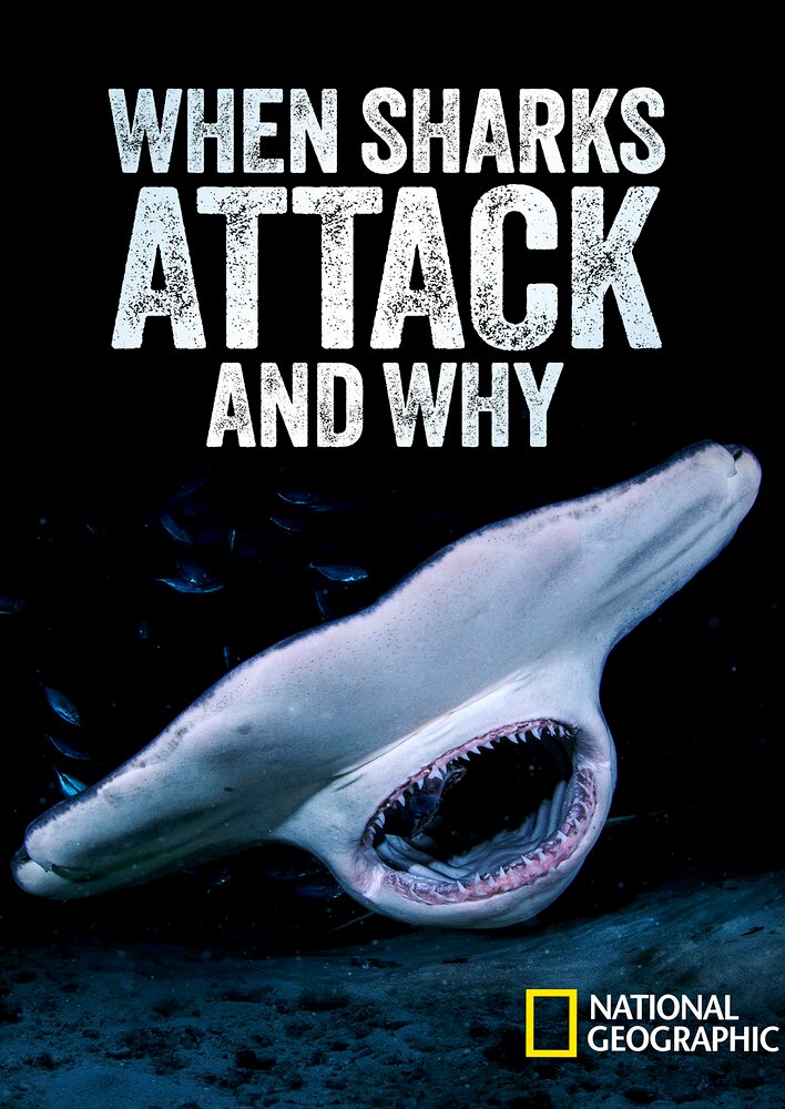 When Sharks Attack... And Why