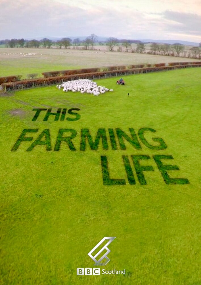 This Farming Life