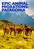 Epic Animal Migrations: Patagonia